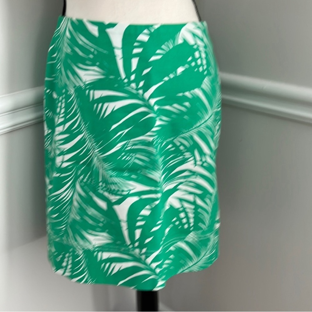 Talbots Skirt